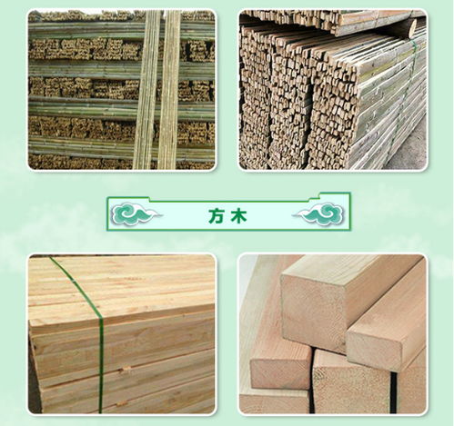 漯河竹笆生產廠家 圣卓建材以服務至上引領建筑建材行業(yè)