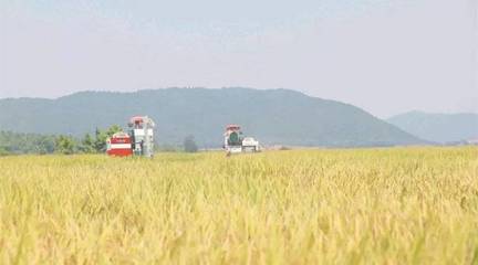 政策東風至，農機企業迎轉機 聚焦農業生產托管服務的六大戰略機遇
